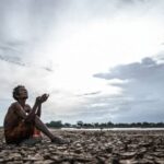 Drought Concerns Drive Record Crop Insurance Enrolment